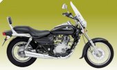 2009 Bajaj Avenger DTS-i photo